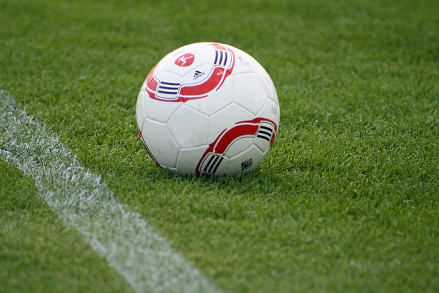 在新名称的 在新名称的