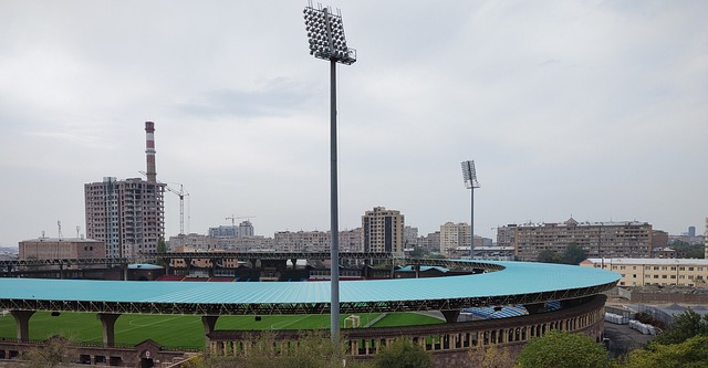 的角色是成 的角色是成