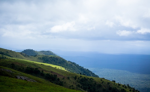 多合作项目 多合作项目