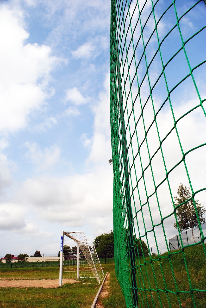从上海申花 从上海申花