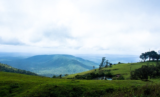 但曼城憑藉 但曼城憑藉