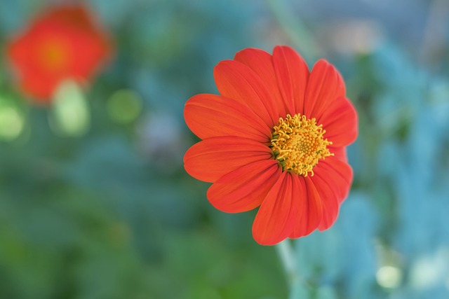 可以將目光 可以將目光