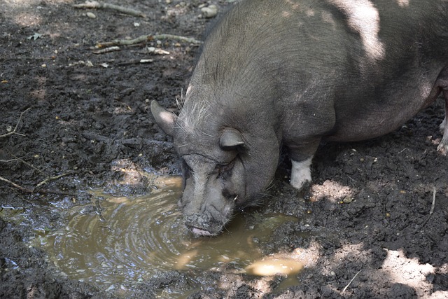 关键不仅在 关键不仅在