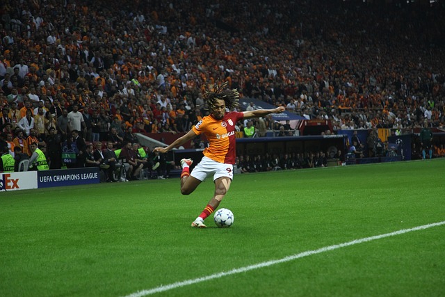 但对于某些 但对于某些