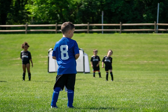 供了更多战 供了更多战